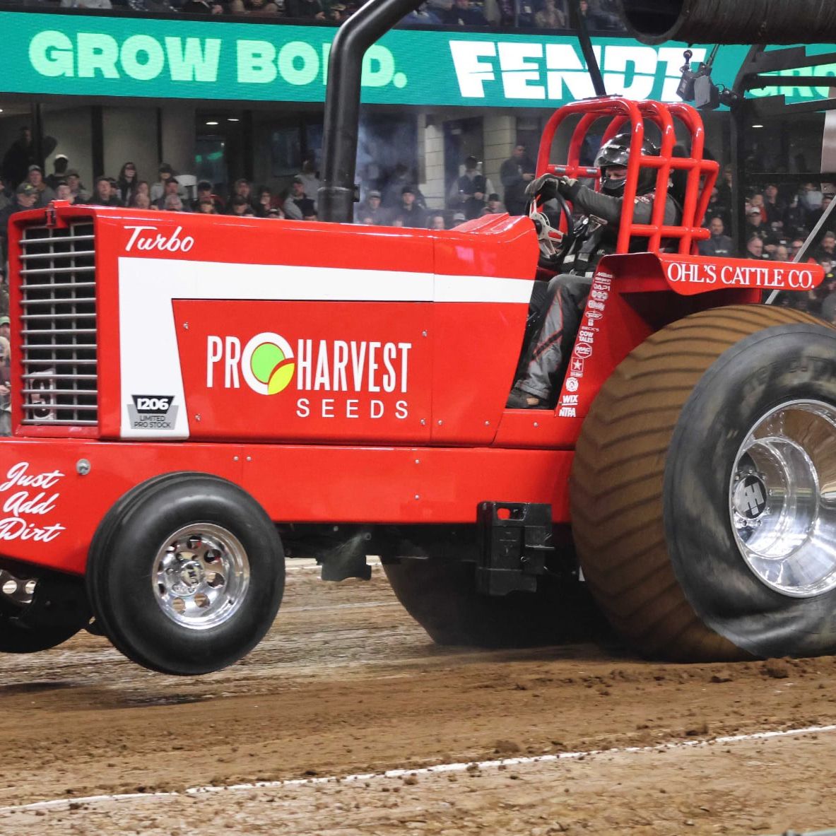 Profile of Jacob Ohl