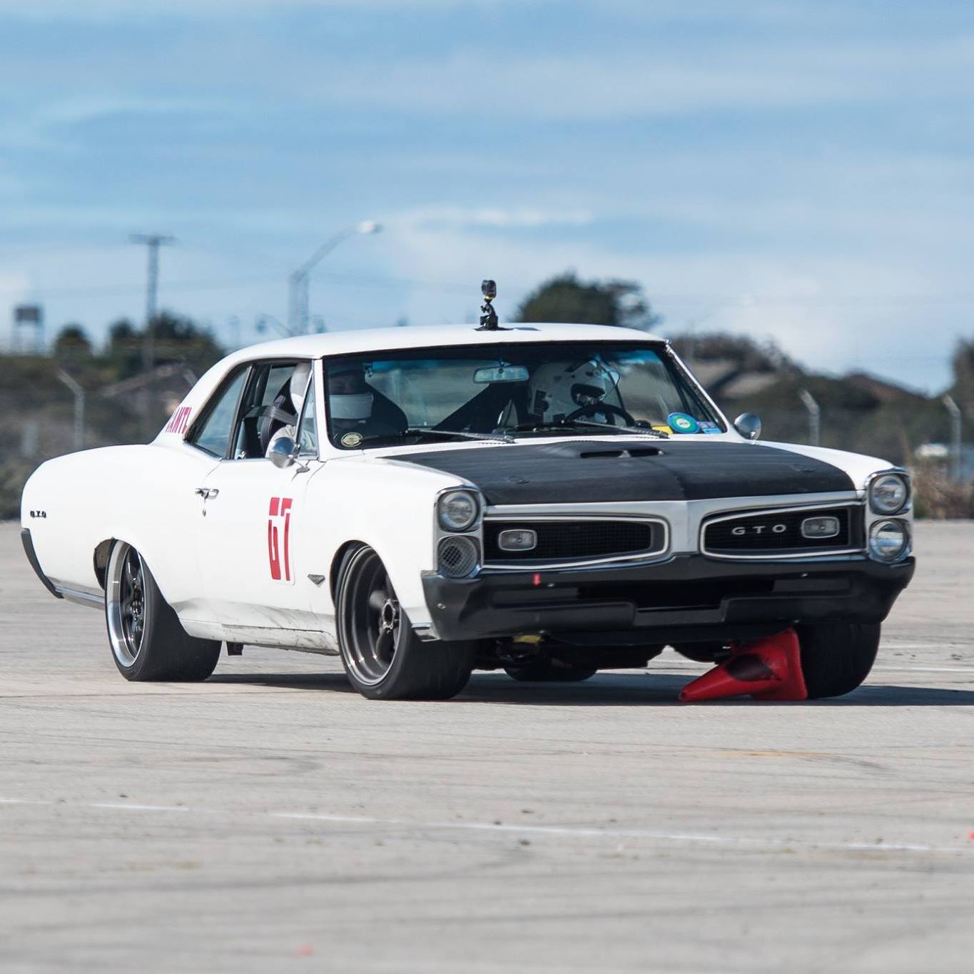 Profile of Stacie Naumann