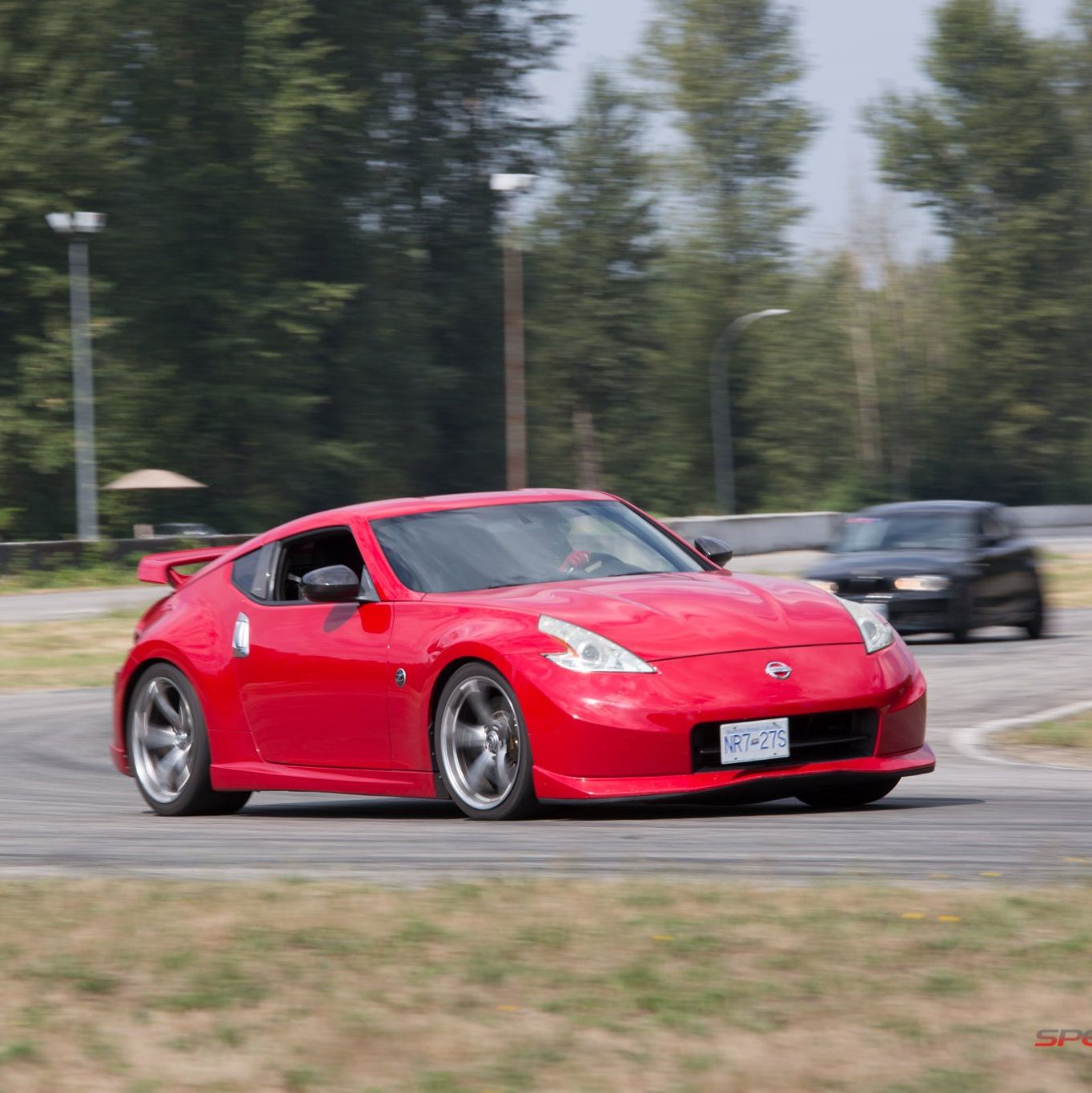 Profile of Arya Daragahi