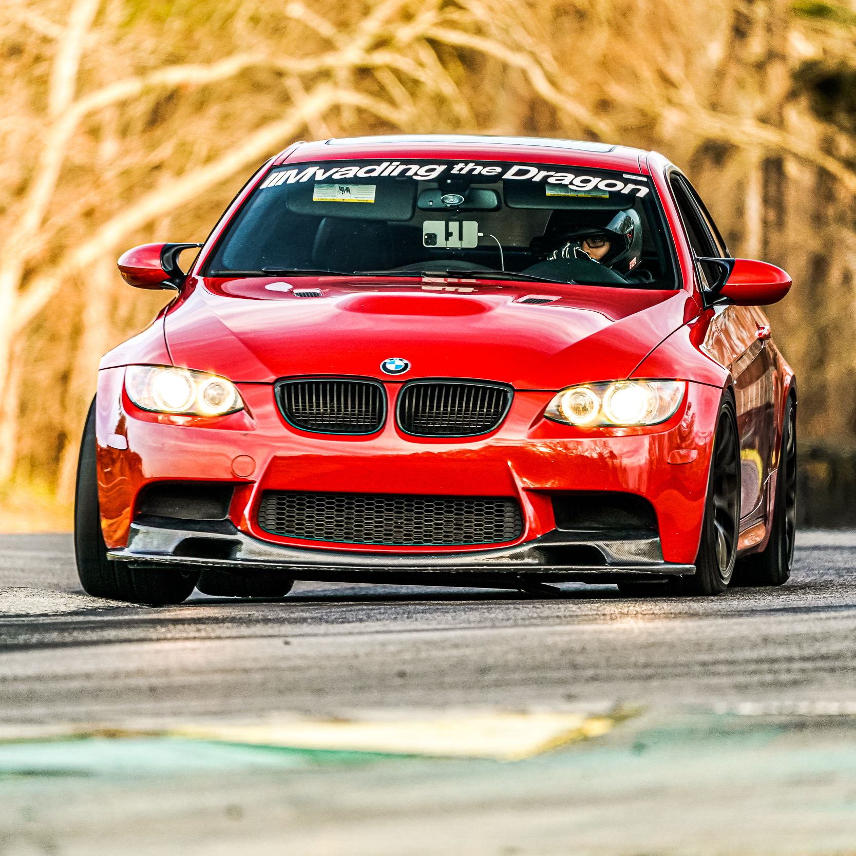 Profile of Vince Fortea