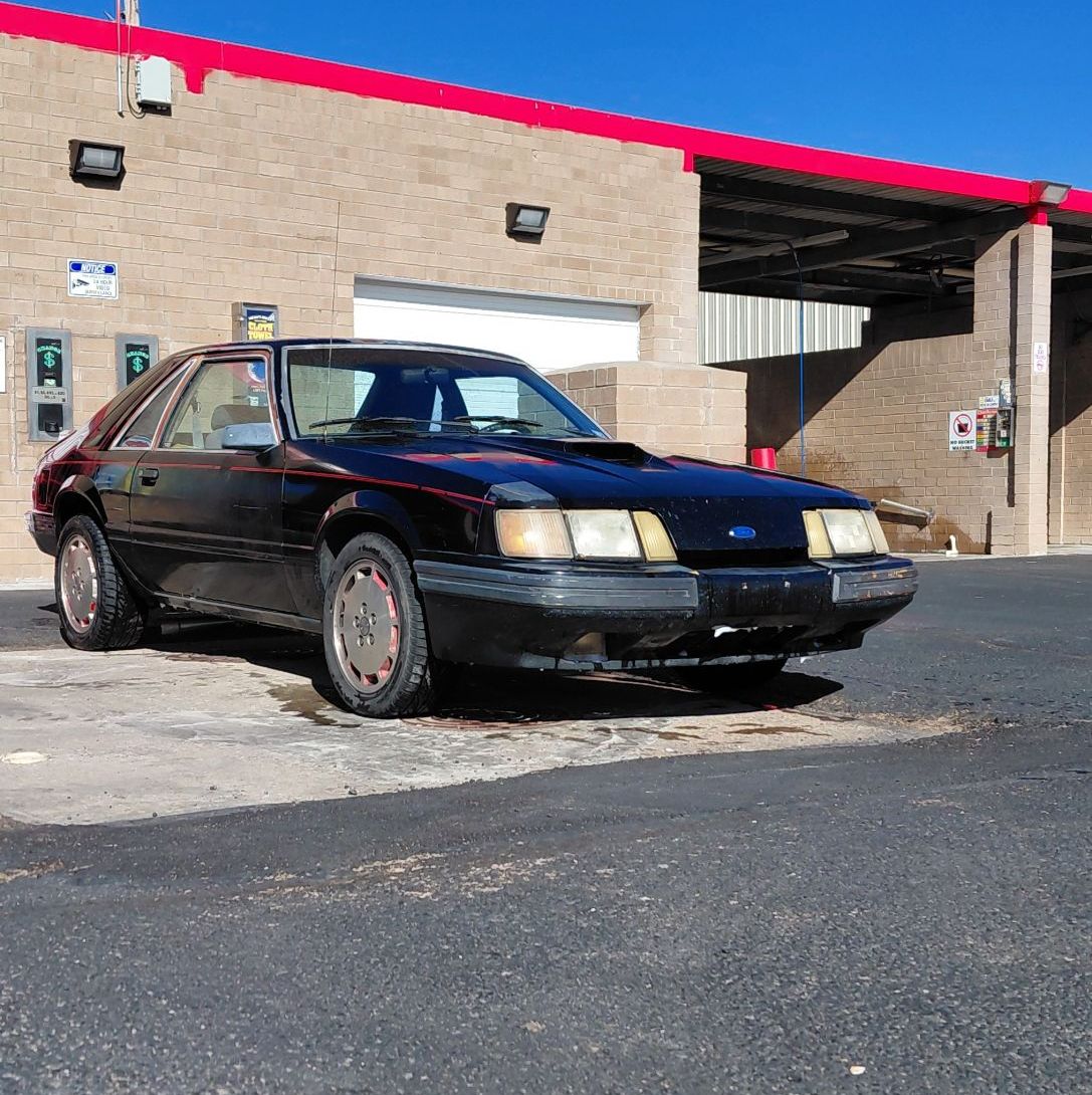 Profile of Joe Thrasher