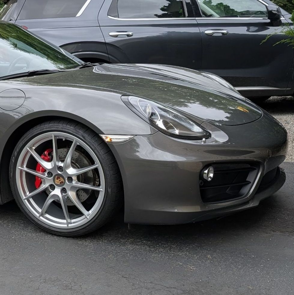 Profile of Yoel Segal