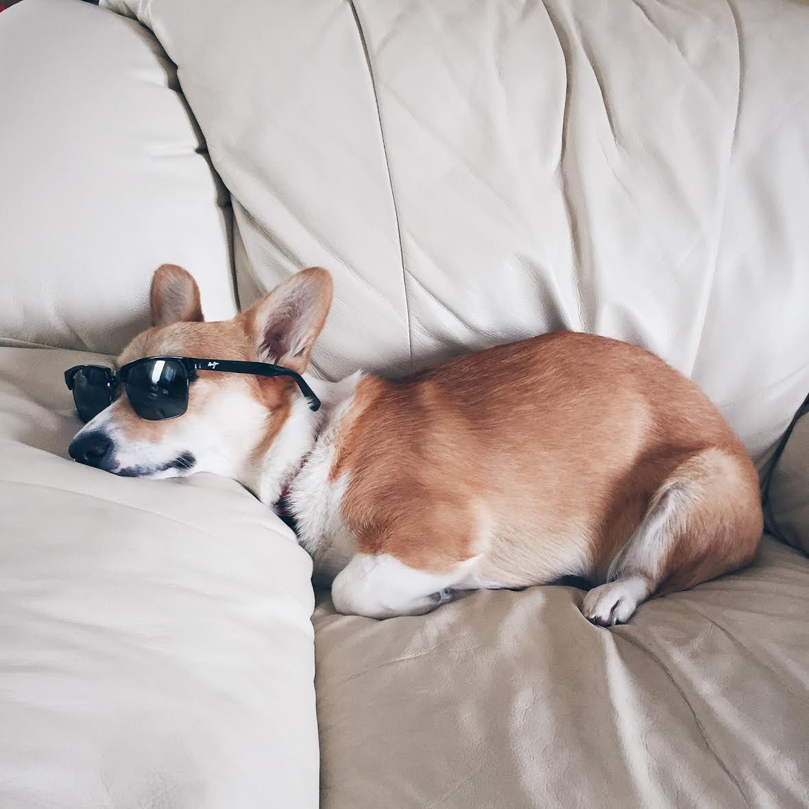 Profile of Jordan Lee