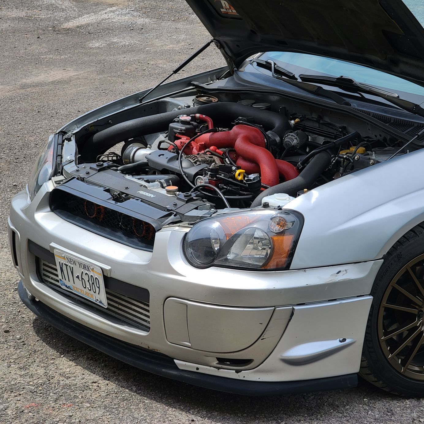 Profile of Ian Mercurio