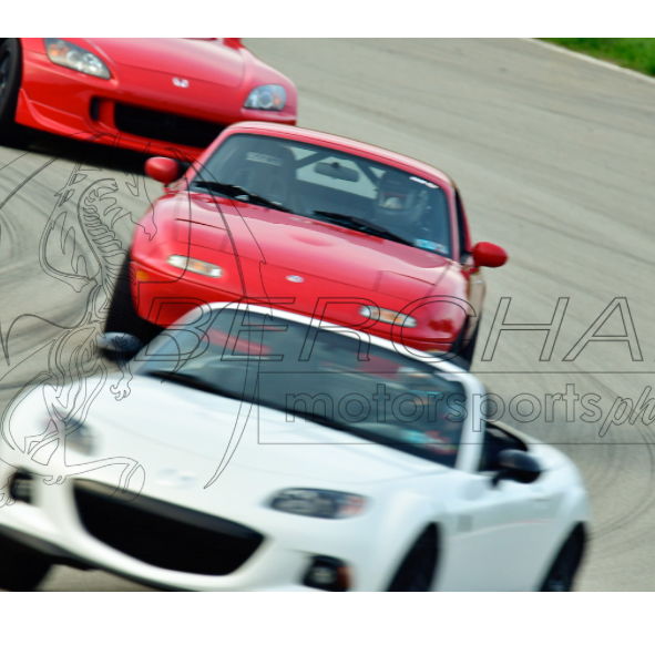 Profile of Brian Gibbs