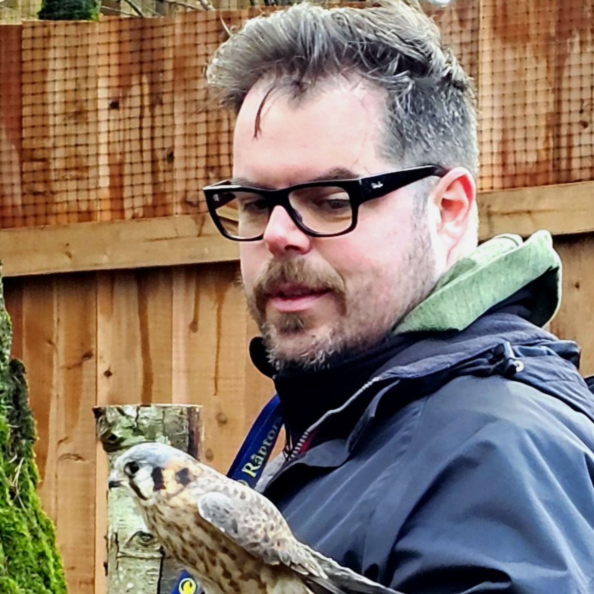 Profile of David Gregory