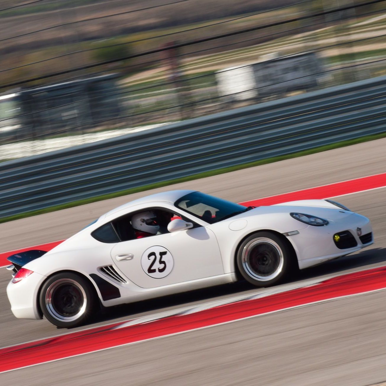 Profile of Joe Corso