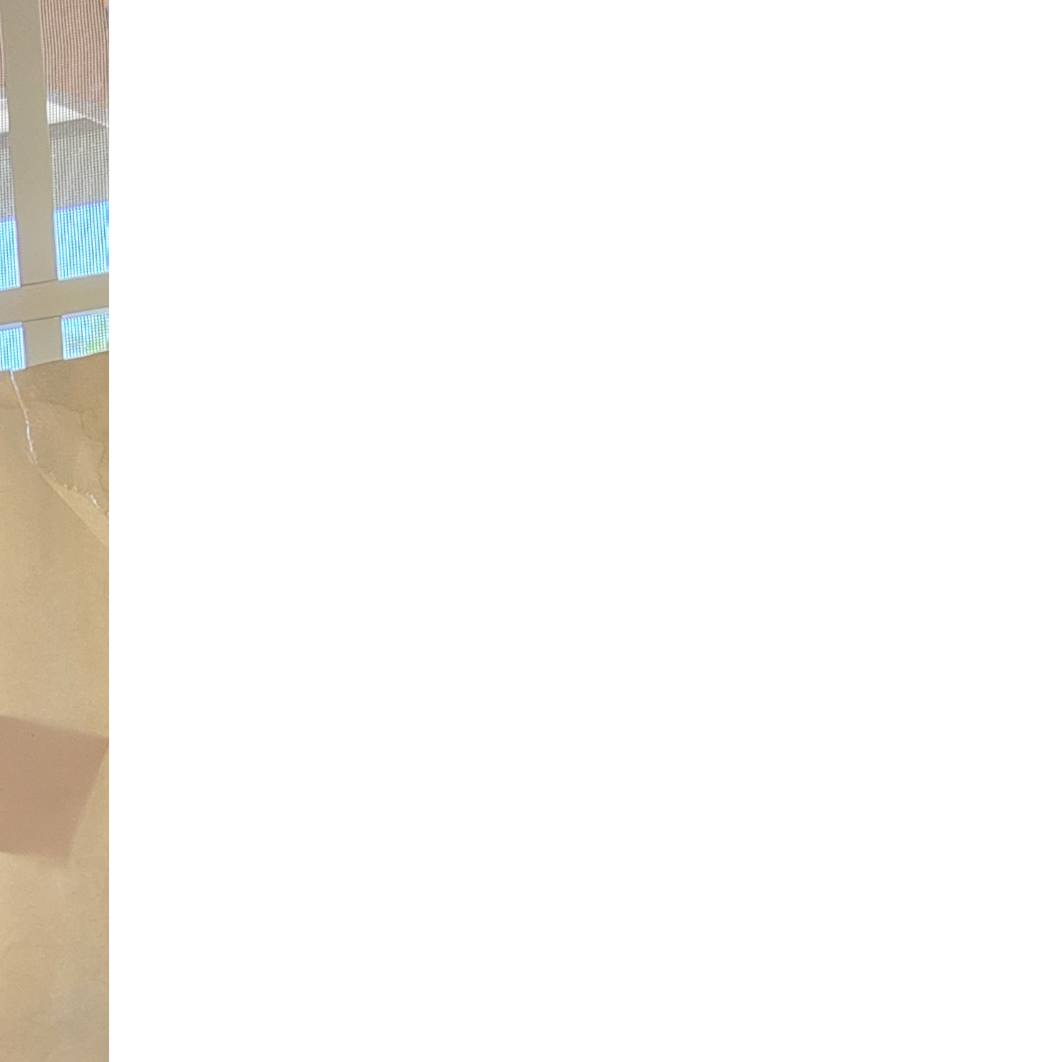 Profile of James McCollum