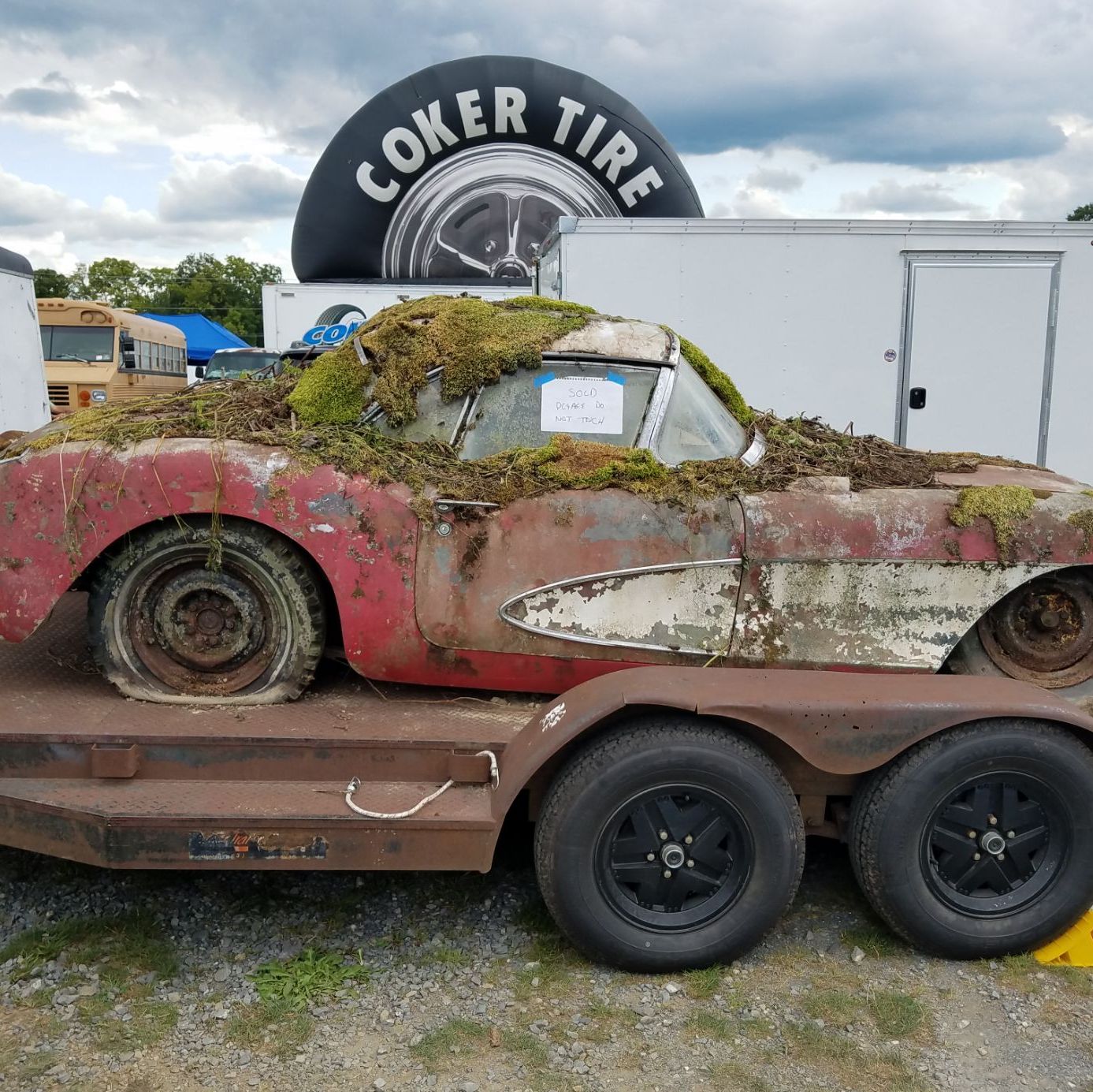 Profile of James Dobish