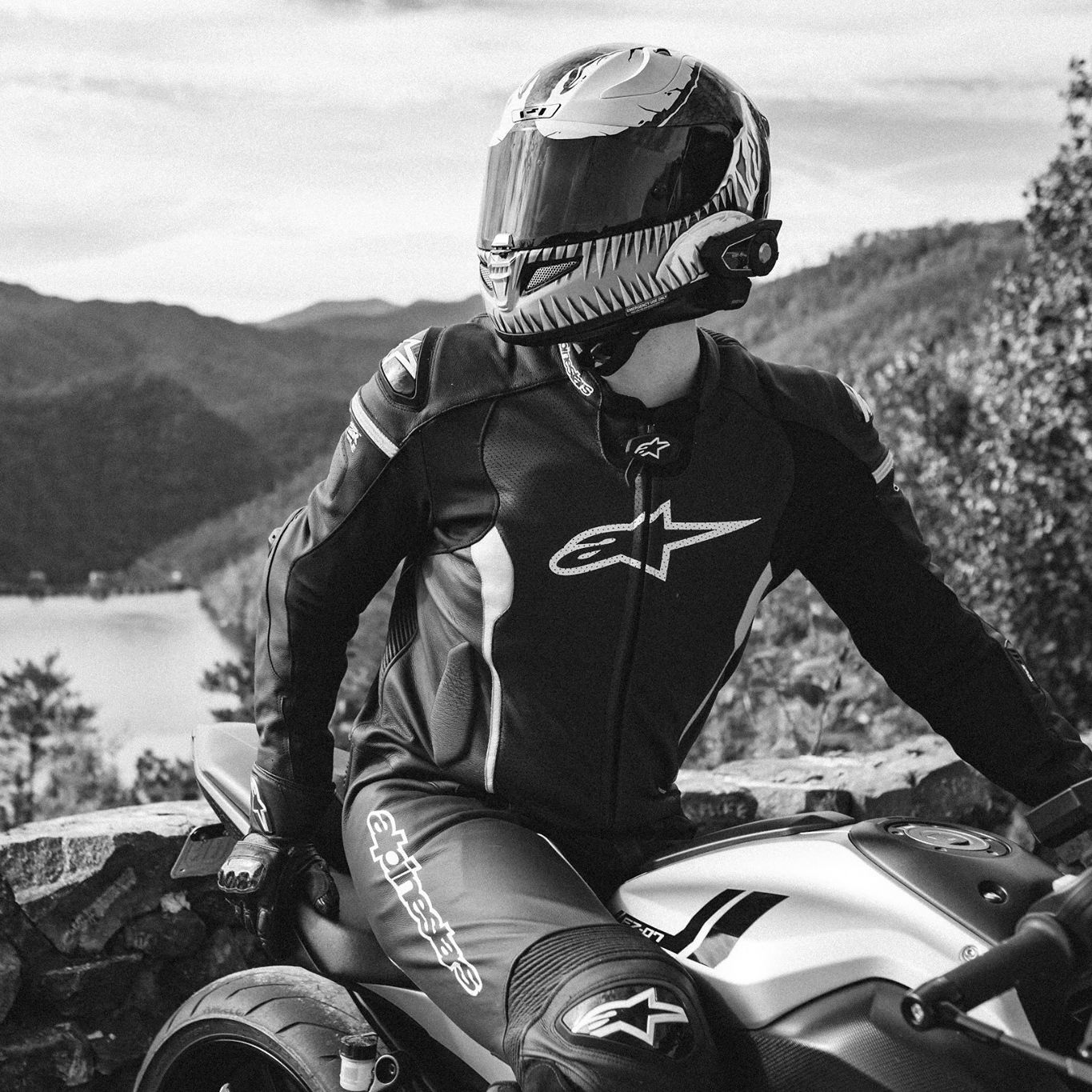 Profile of Stephen Catapano