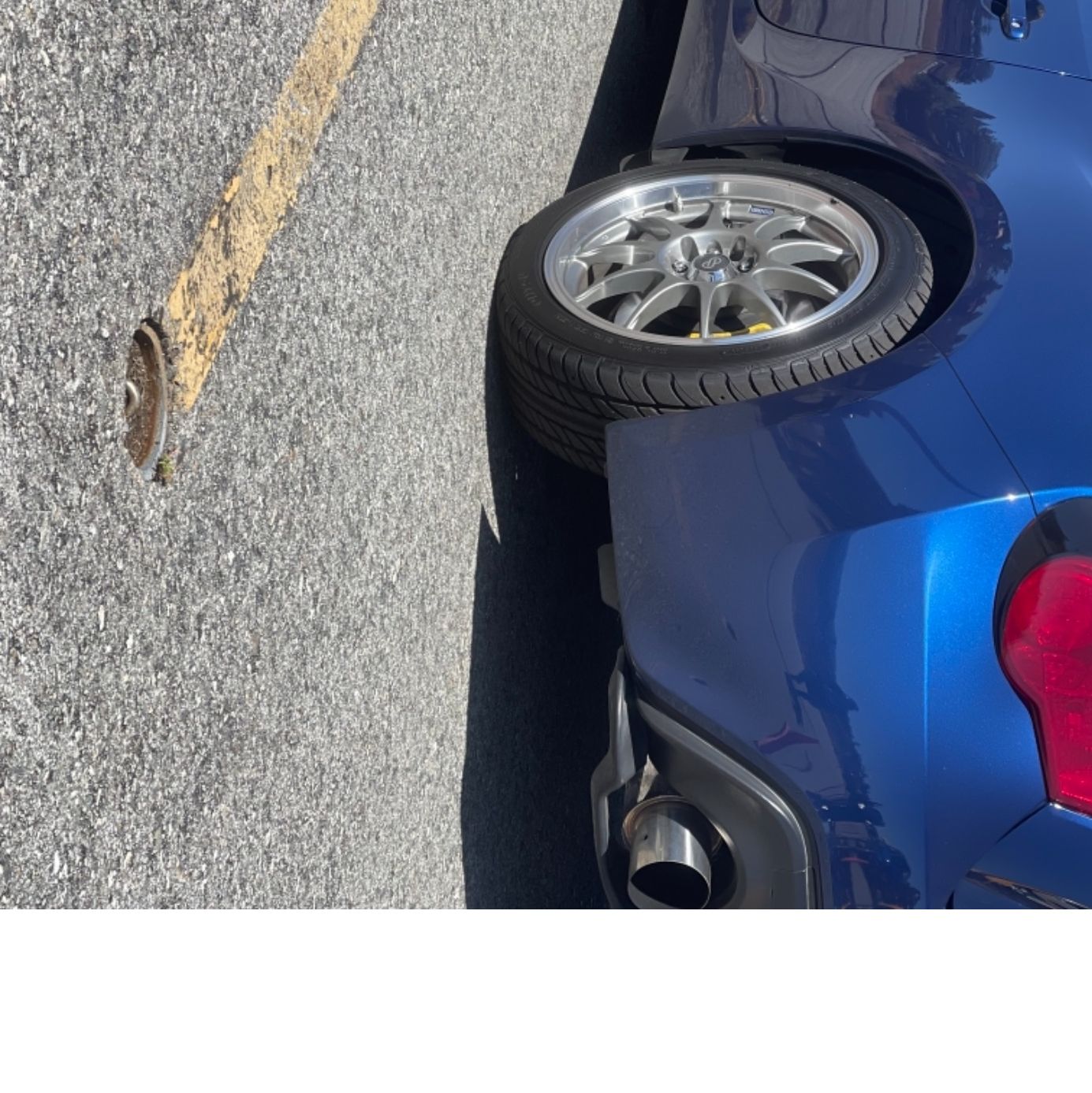 Profile of Taylor Shenk