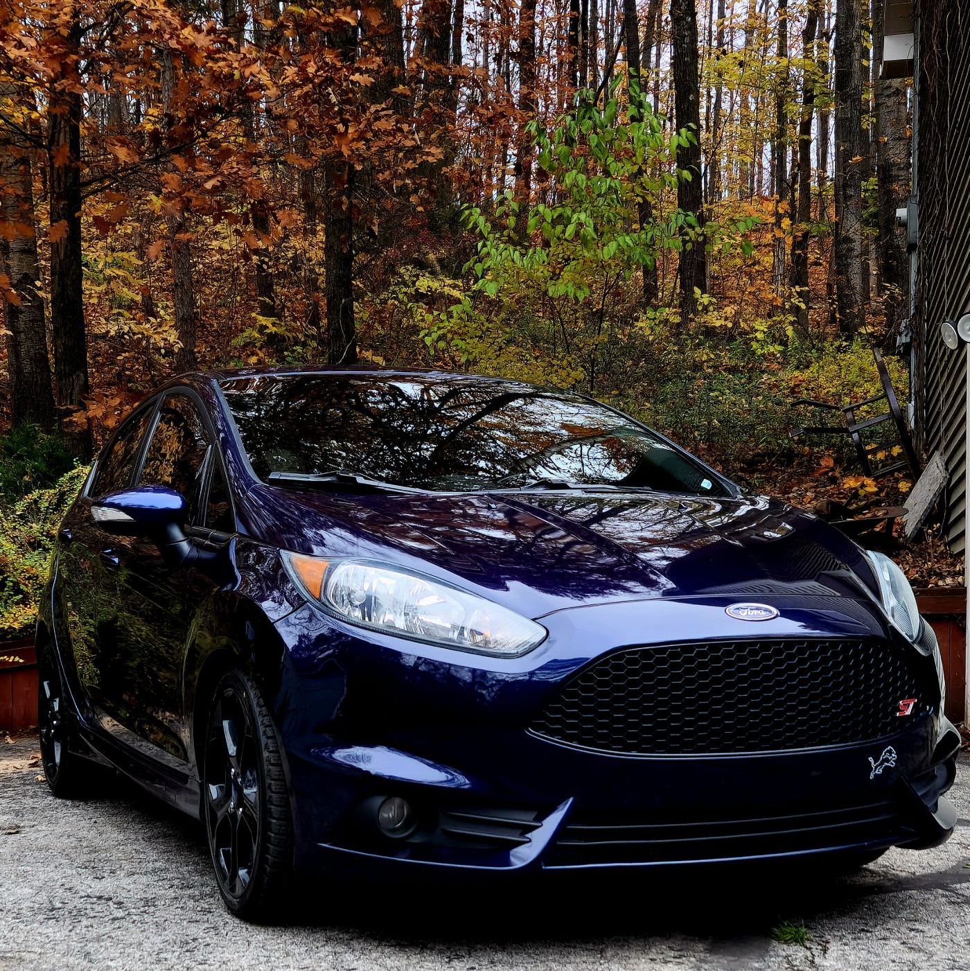 Profile of Tim Wheelock