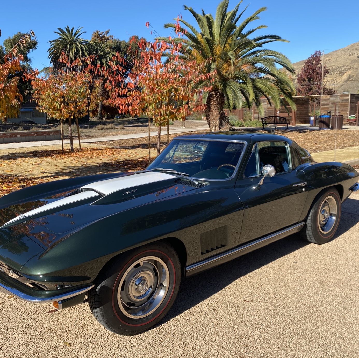 Profile of Donny Tofft