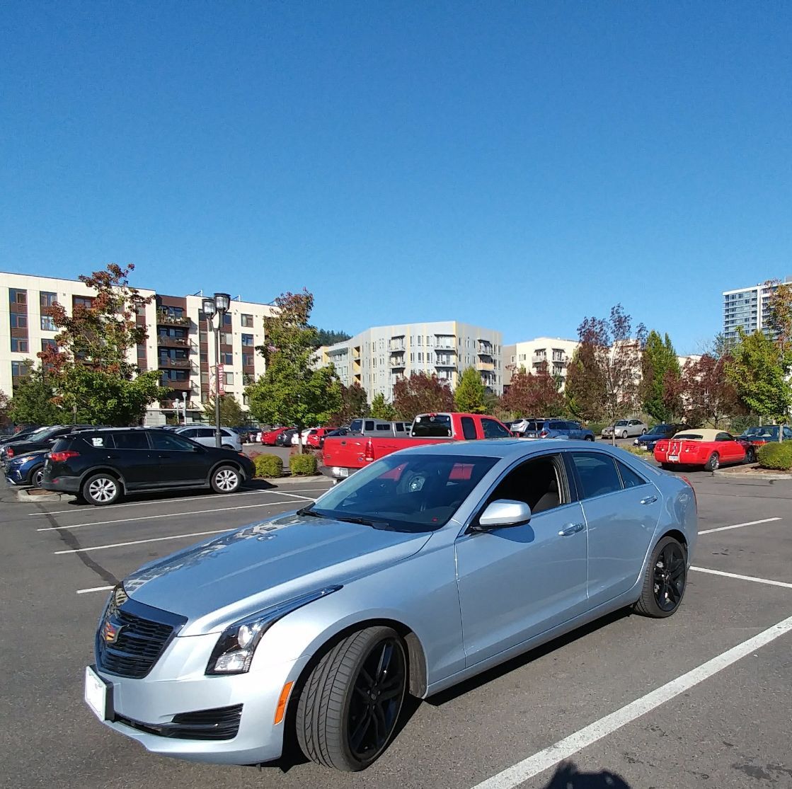 Profile of Samuel Chinakos