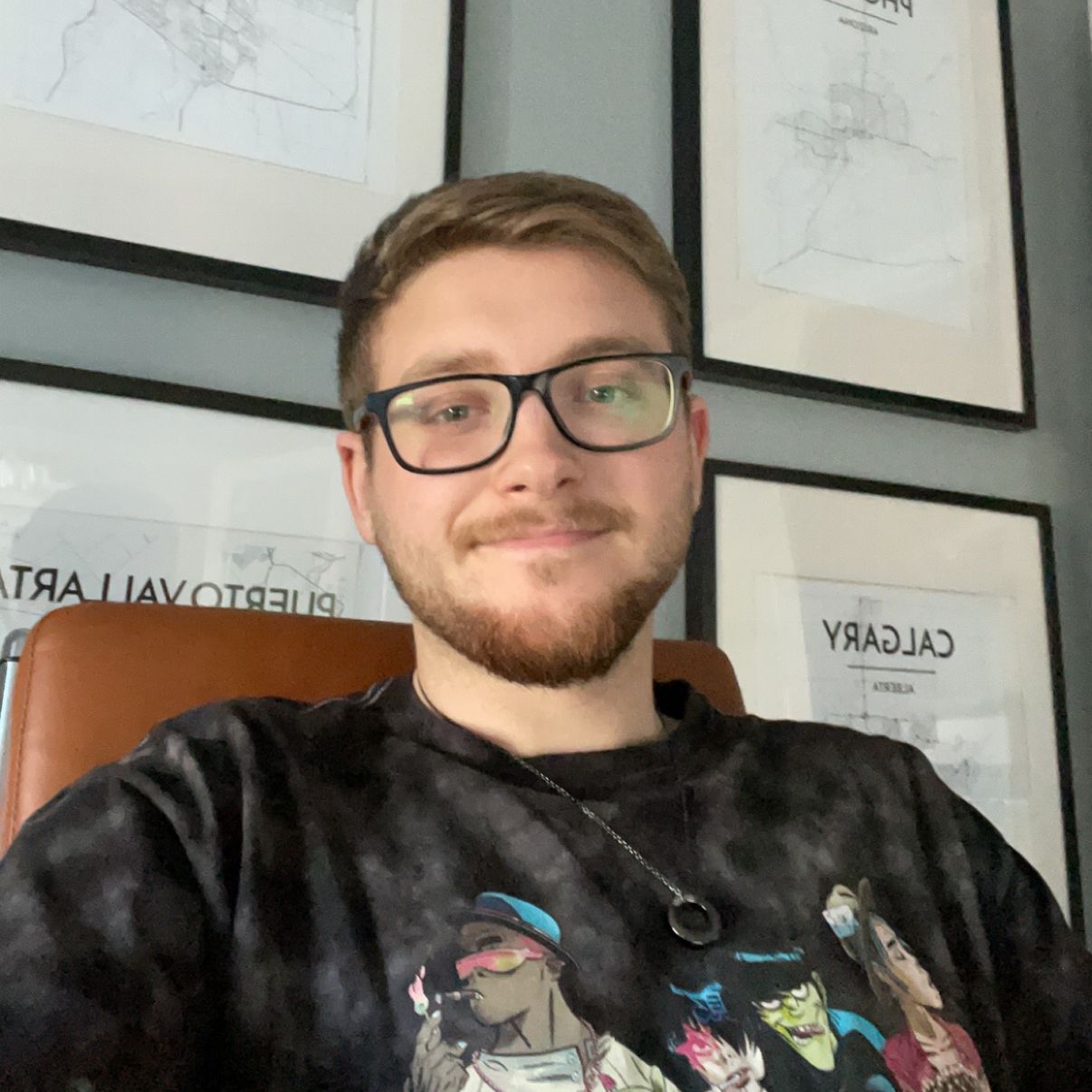 Profile of Luca Medved