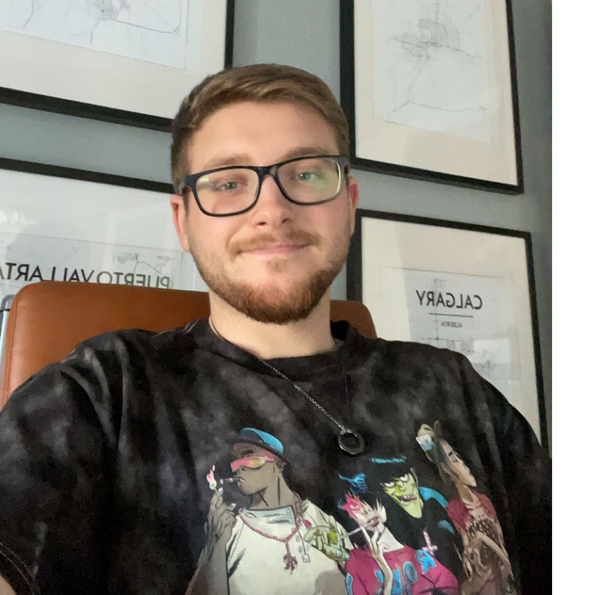 Profile of Luca Medved