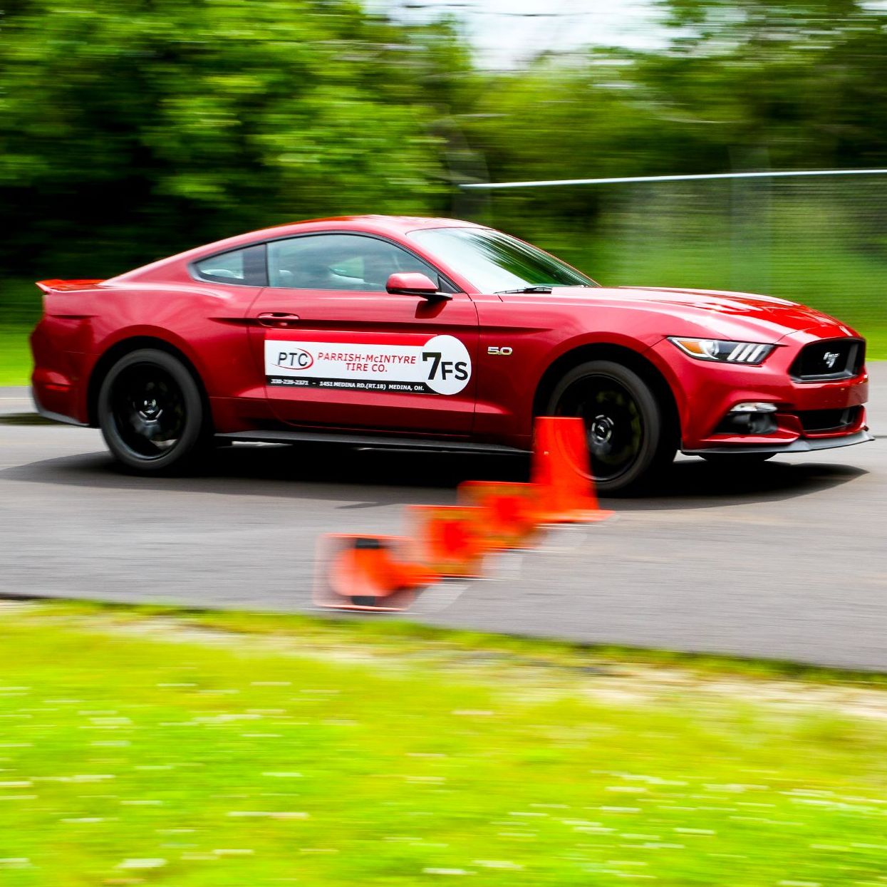 Profile of Joel Phillips