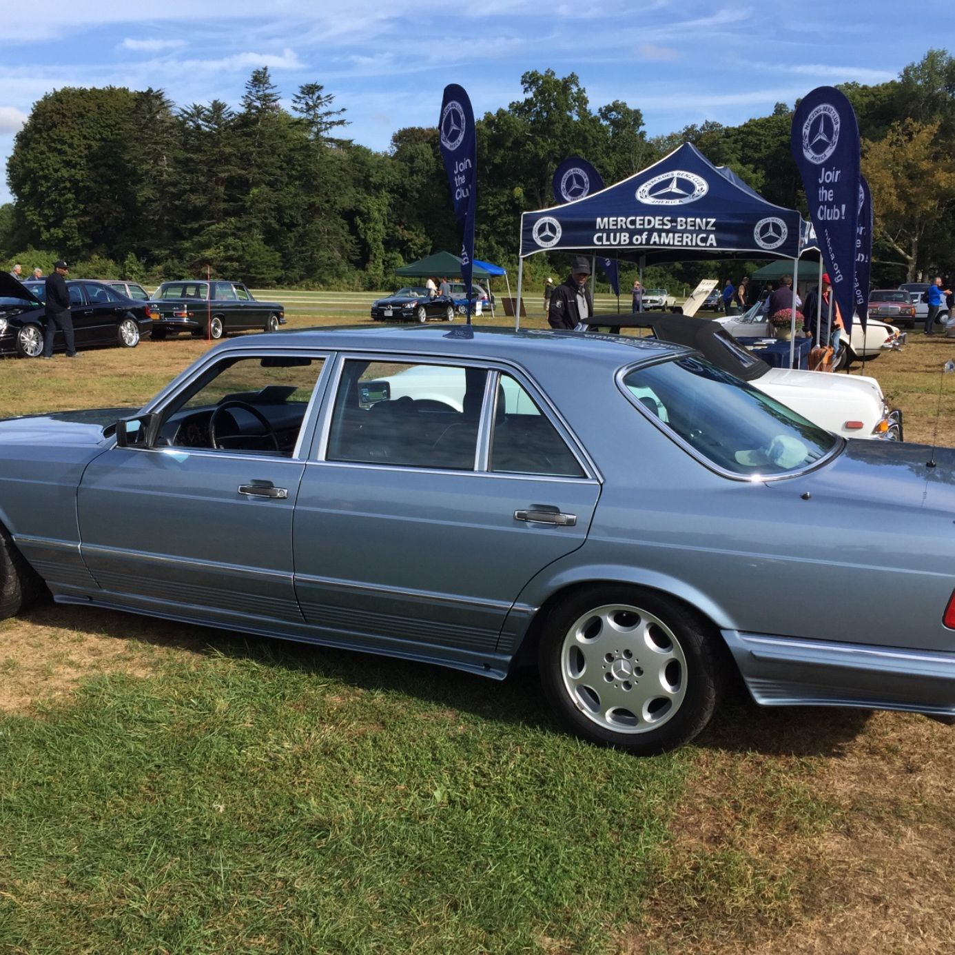 Profile of Warren Larkin