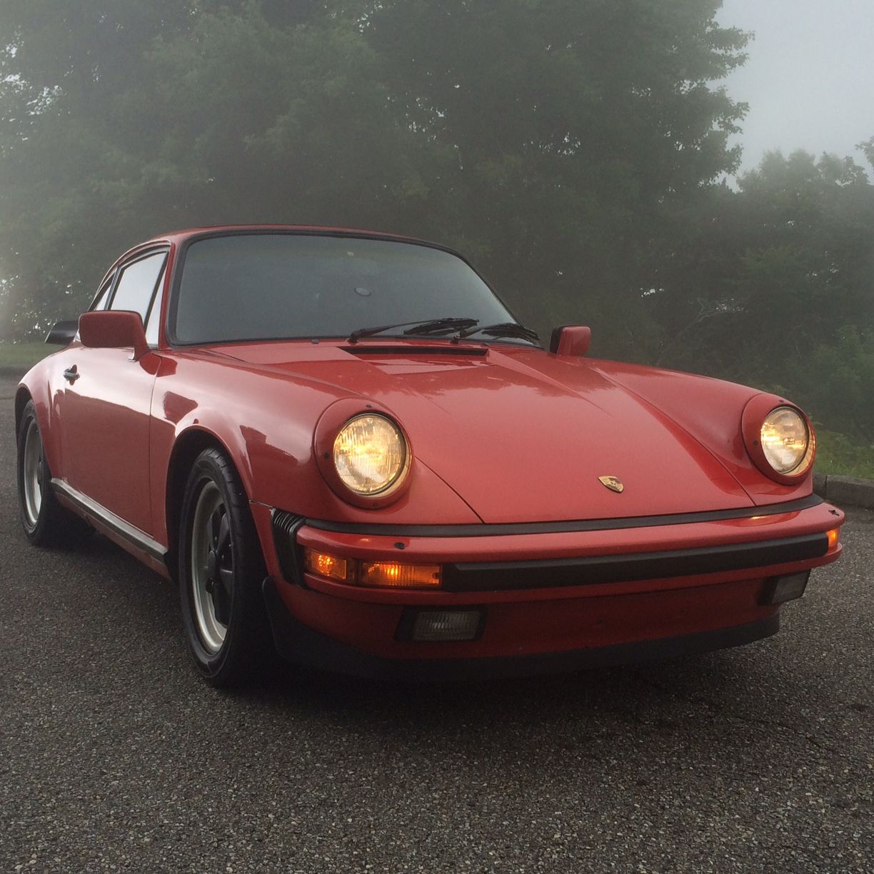 Profile of Brendon Bashford