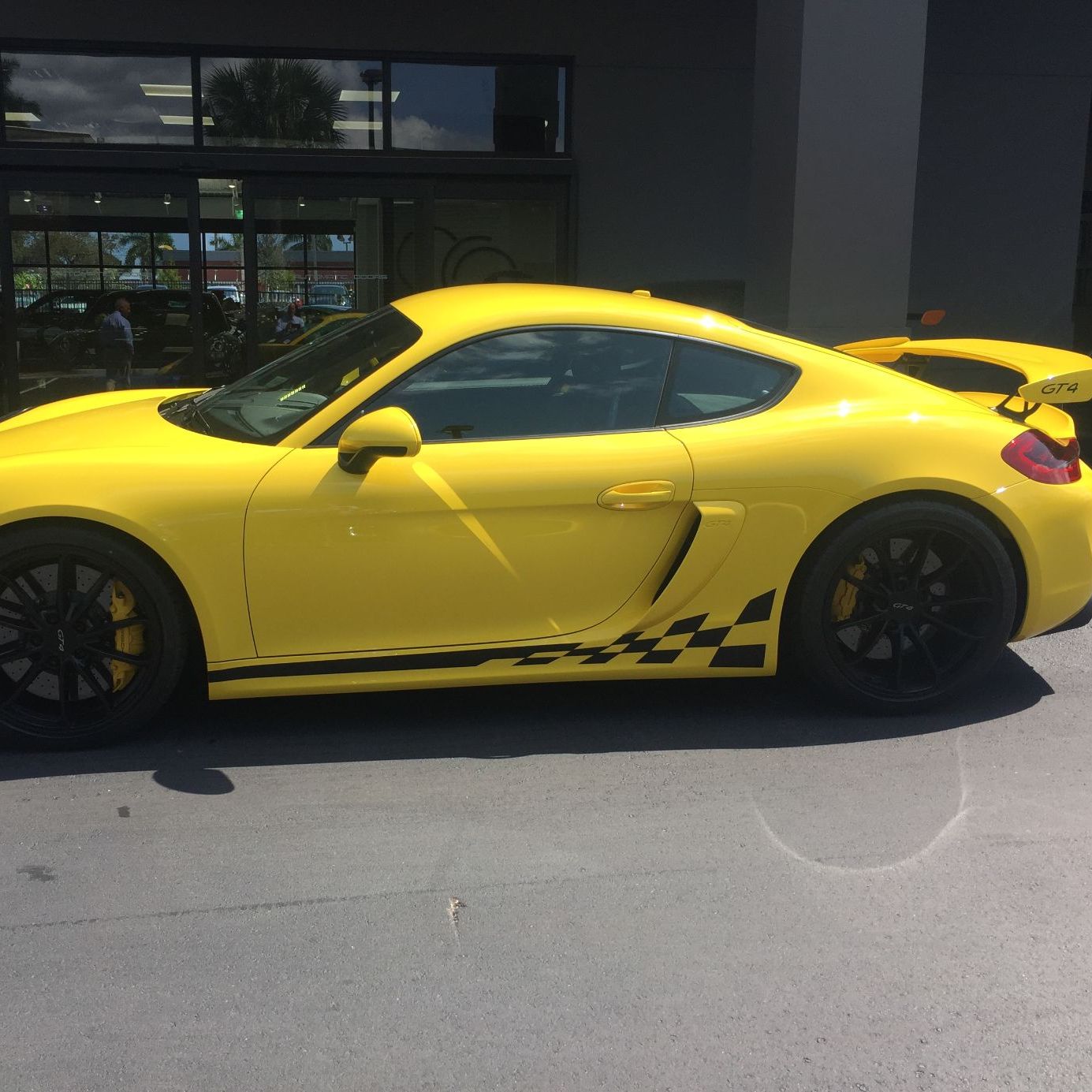 Profile of Andrew Kaufman