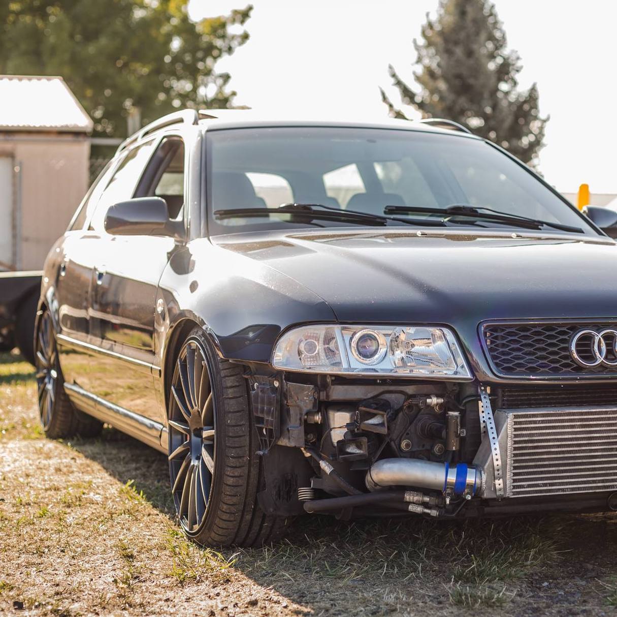 Profile of Cory Stout