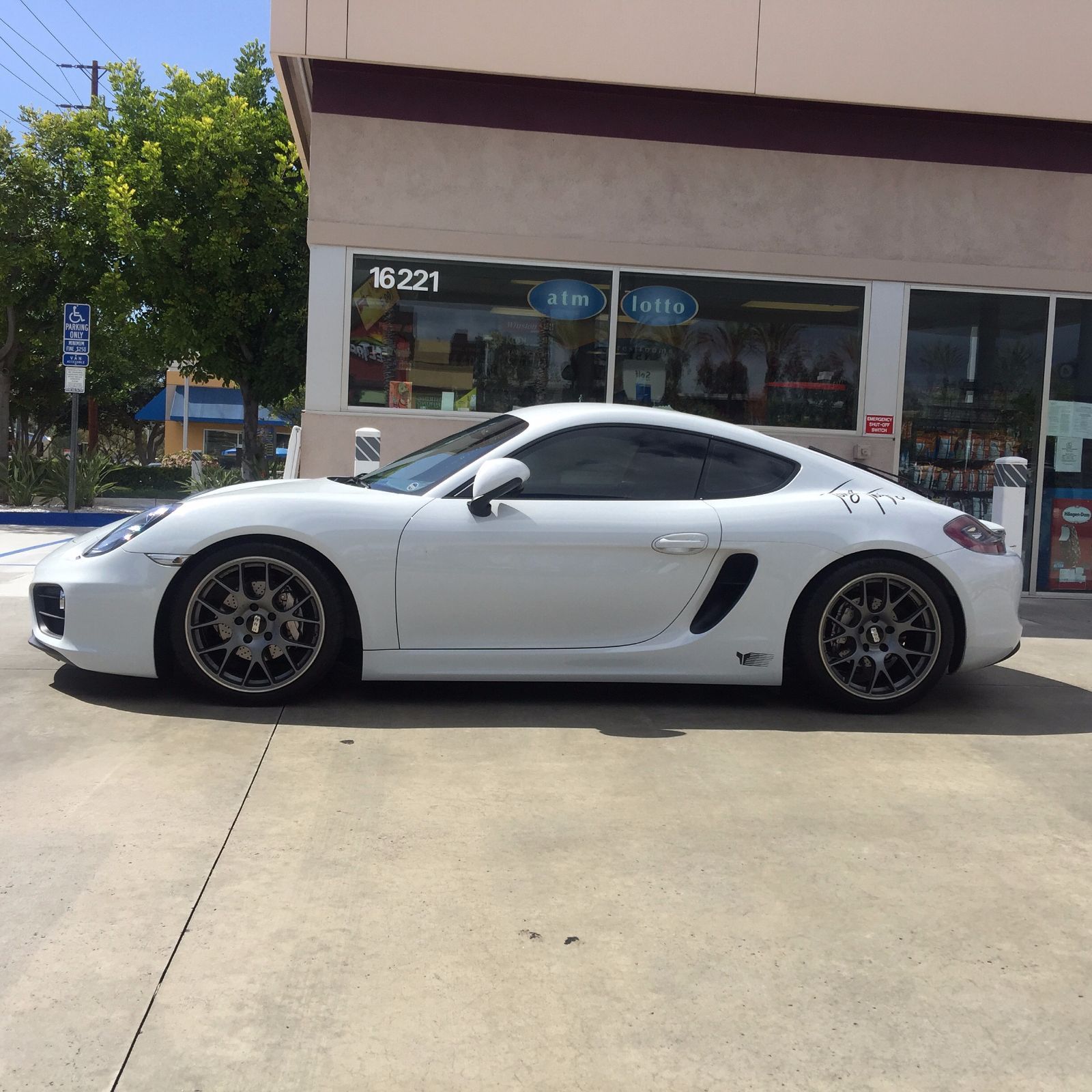 Profile of Miranda Perez