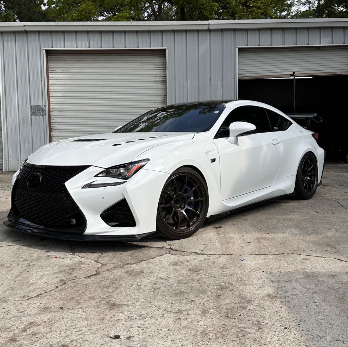 Profile of David Bright