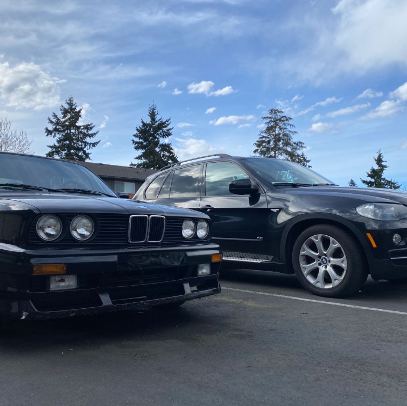 Profile of MaryAnn Keramidas