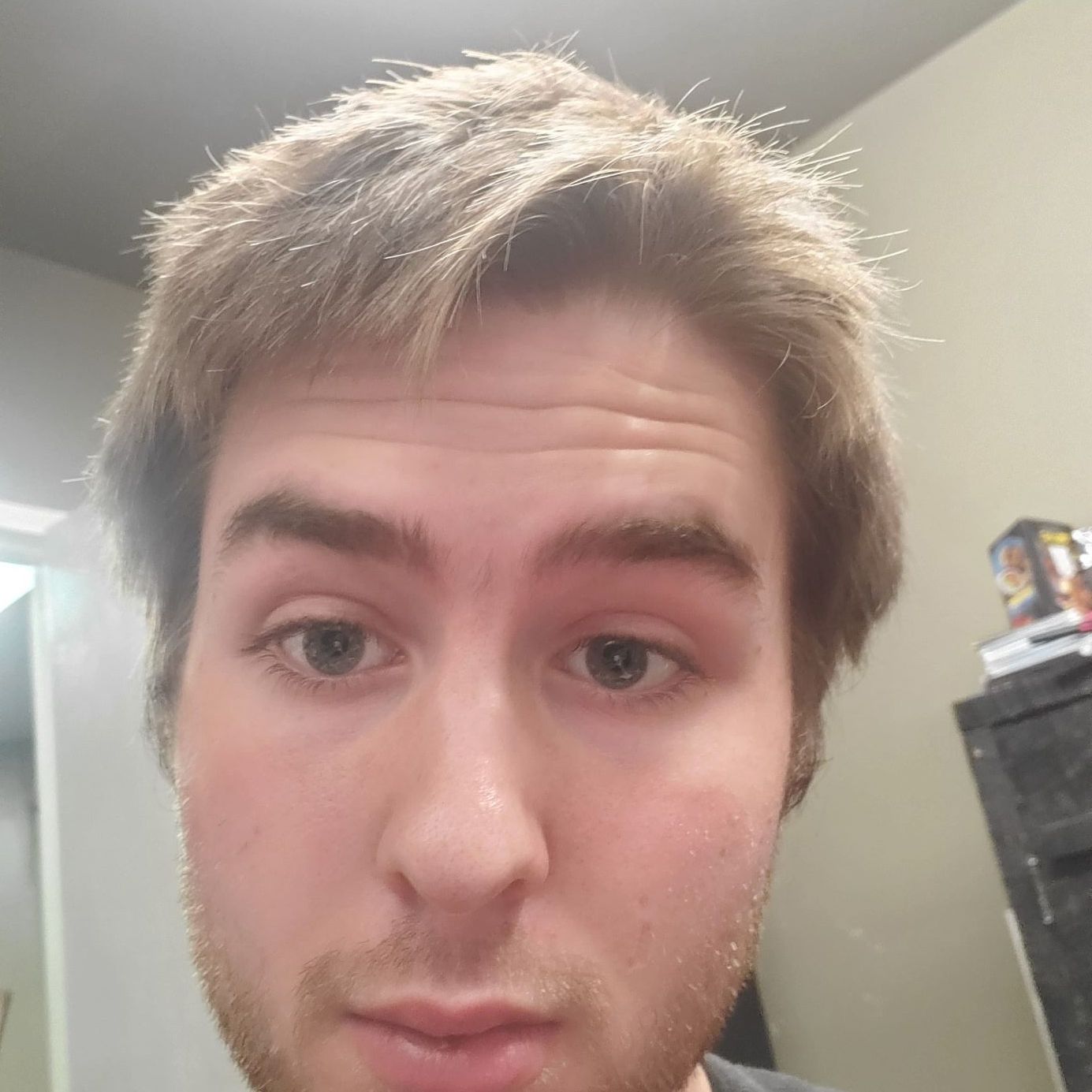 Profile of David M Morris