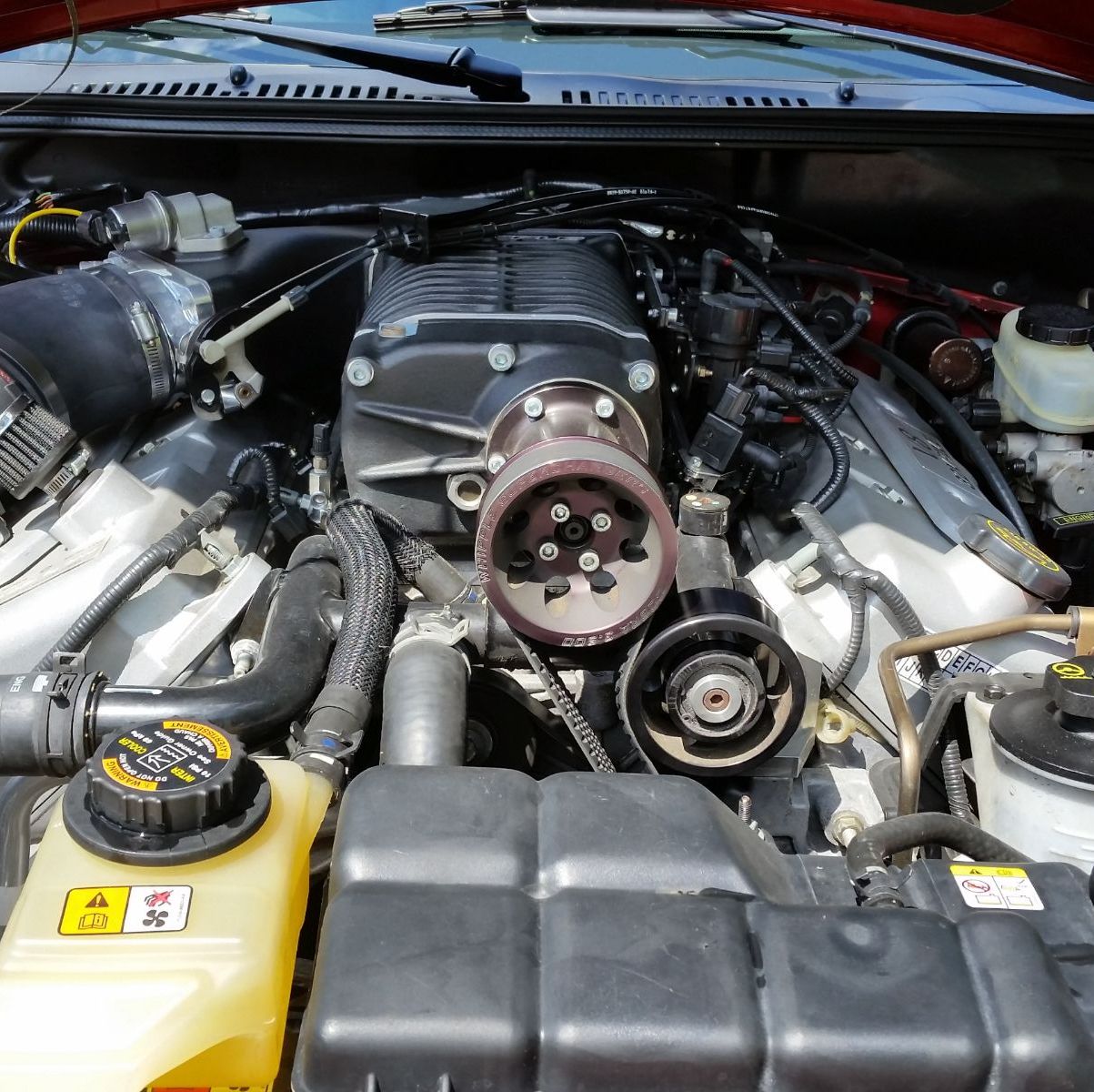 Profile of Kevin Davis