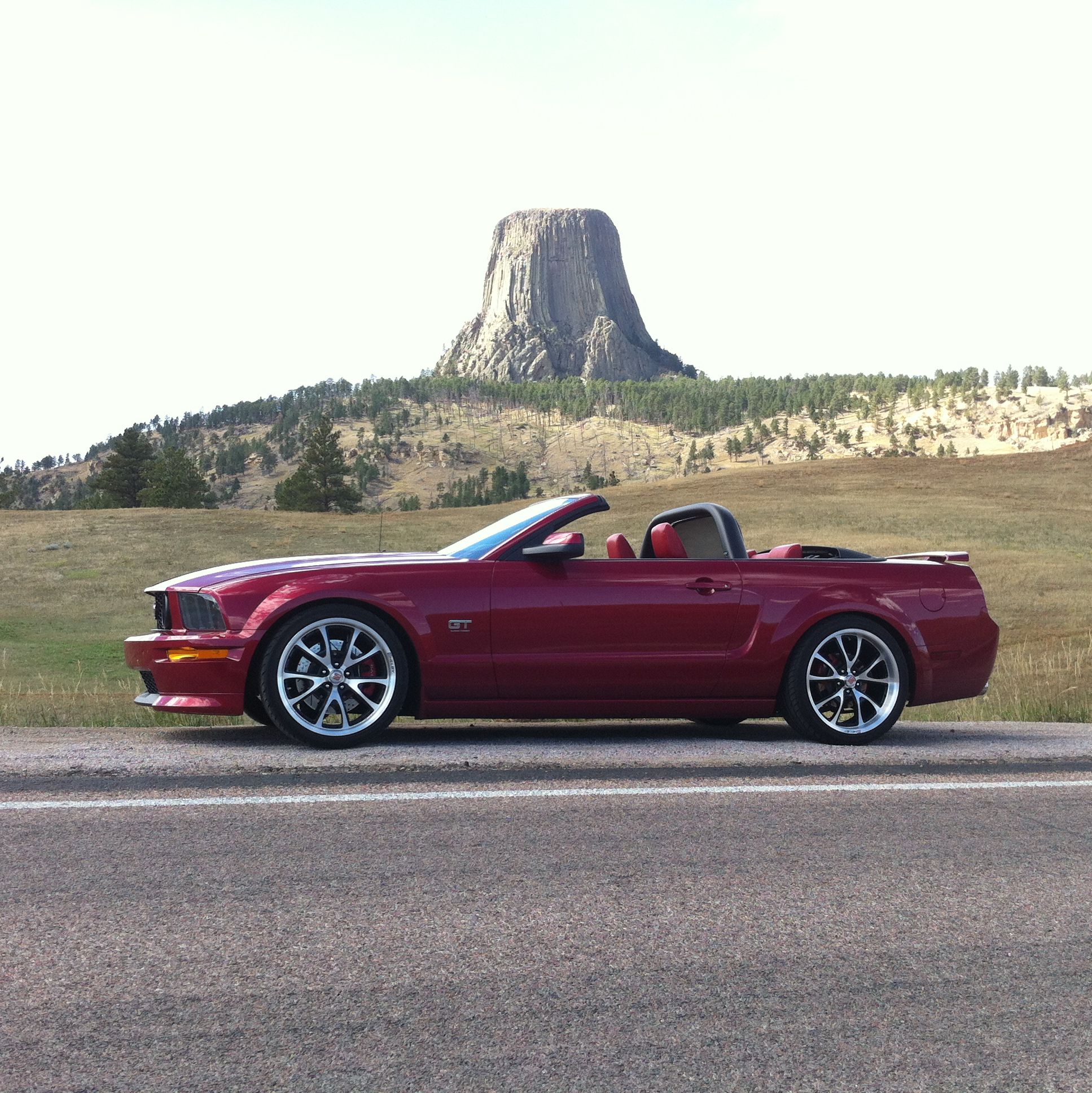 Profile of Tom Wynne