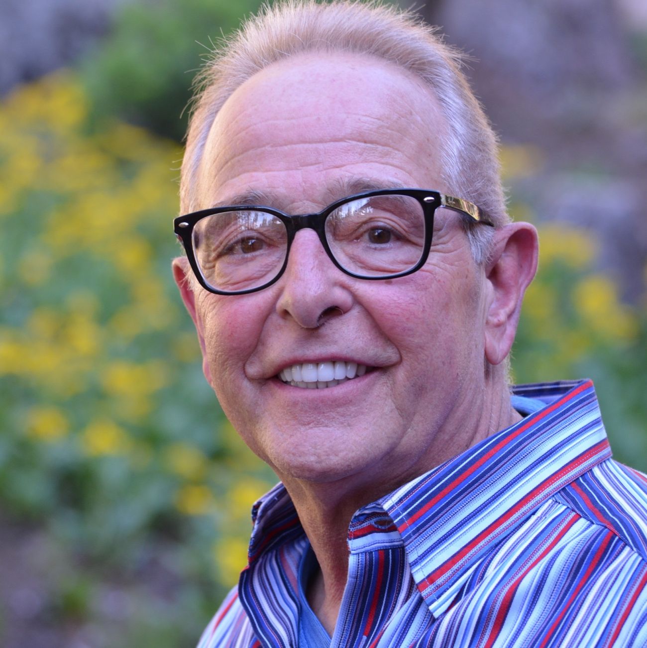 Profile of David Goffredo