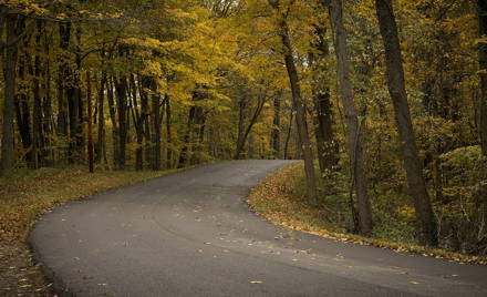 Sunday Scholar 2024 National Course Road Rally