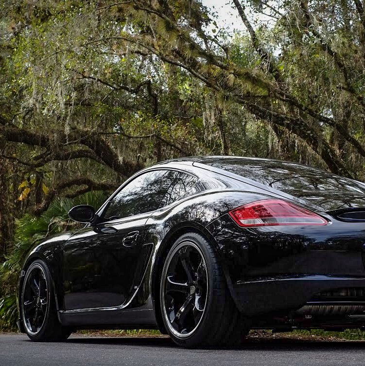 Profile of Wayne Zuege