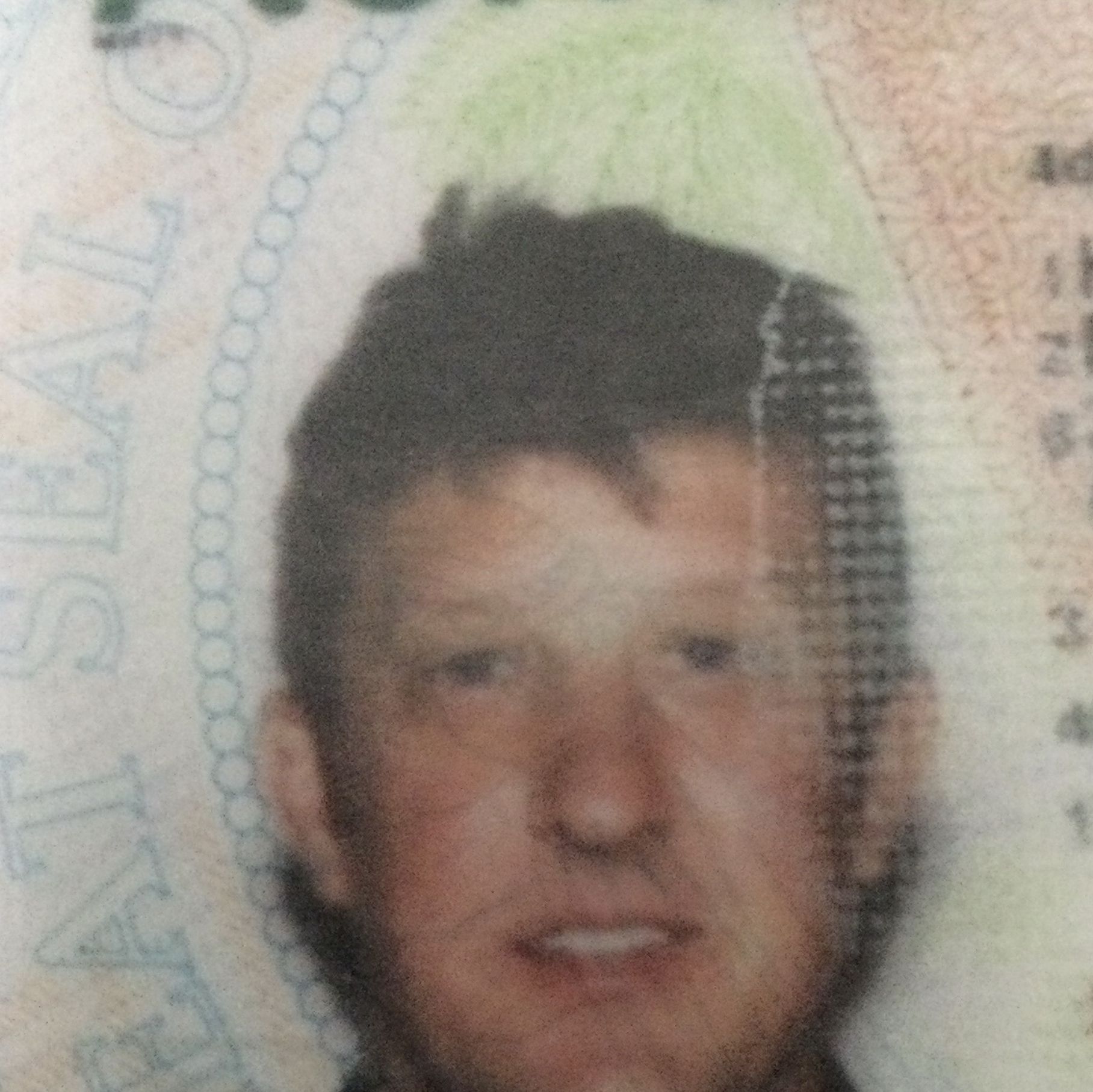 Profile of Michael Hollosy
