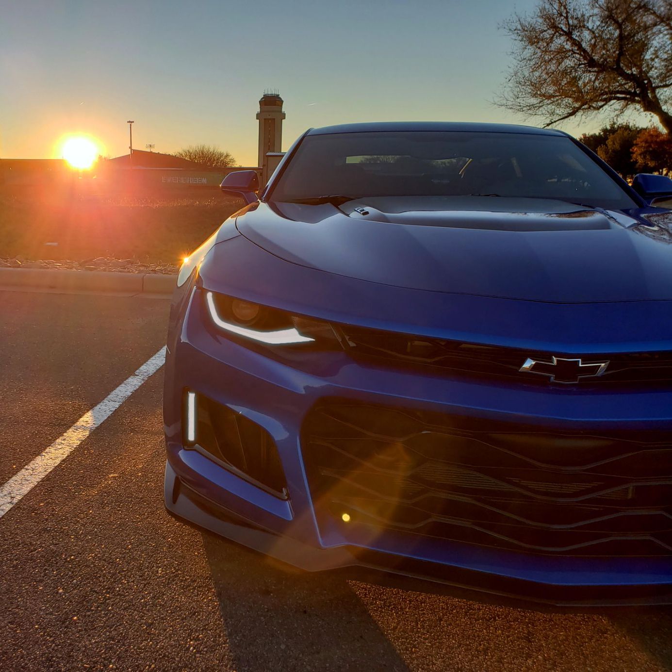 Profile of Alex Wells