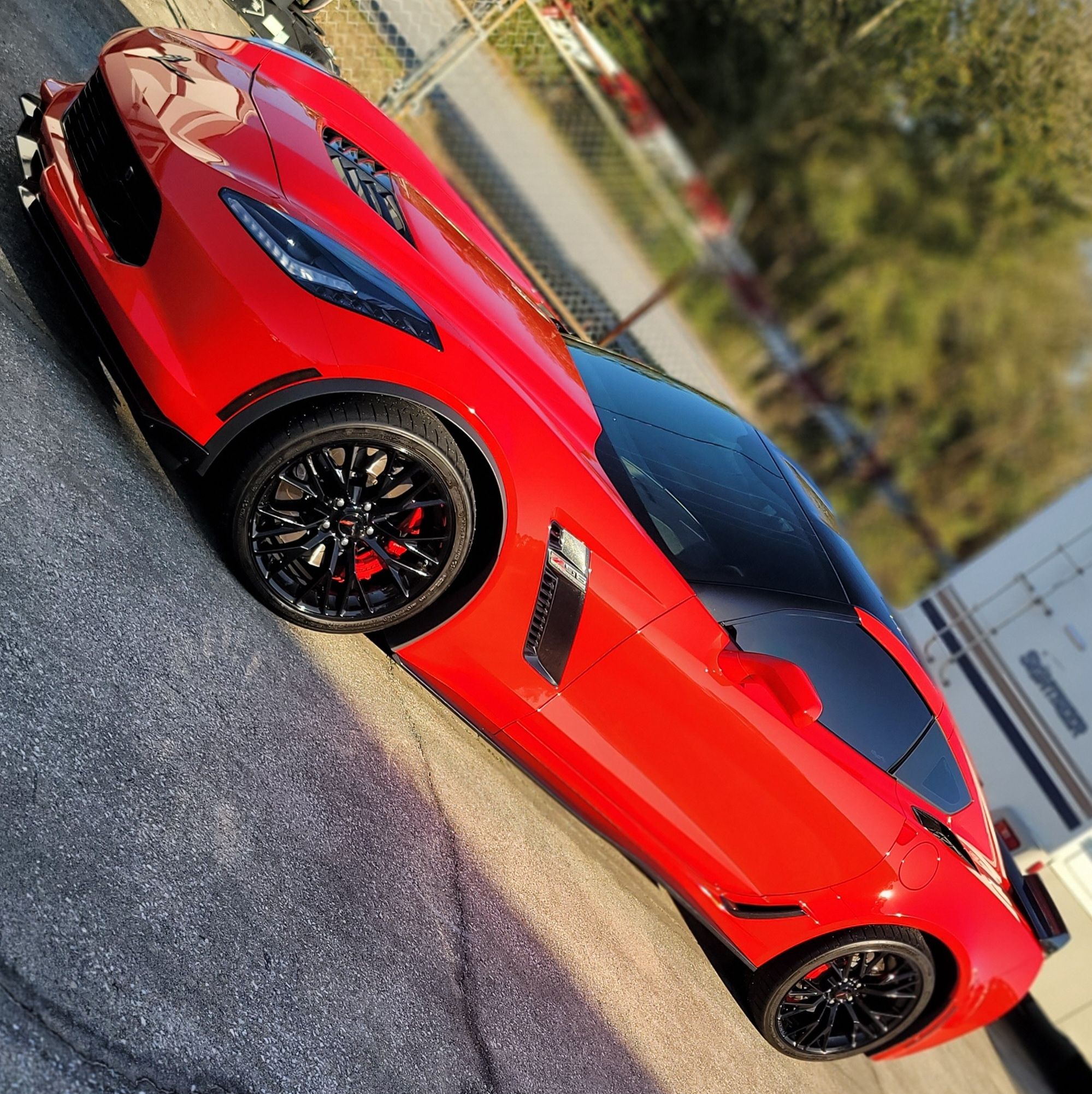 Profile of Teddy Thompson