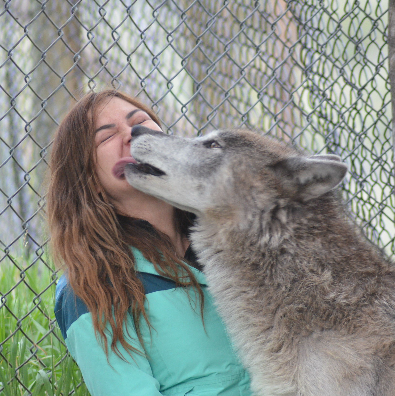 Profile of Ximena Rosenberg