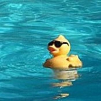 Profile of Tyler Brown