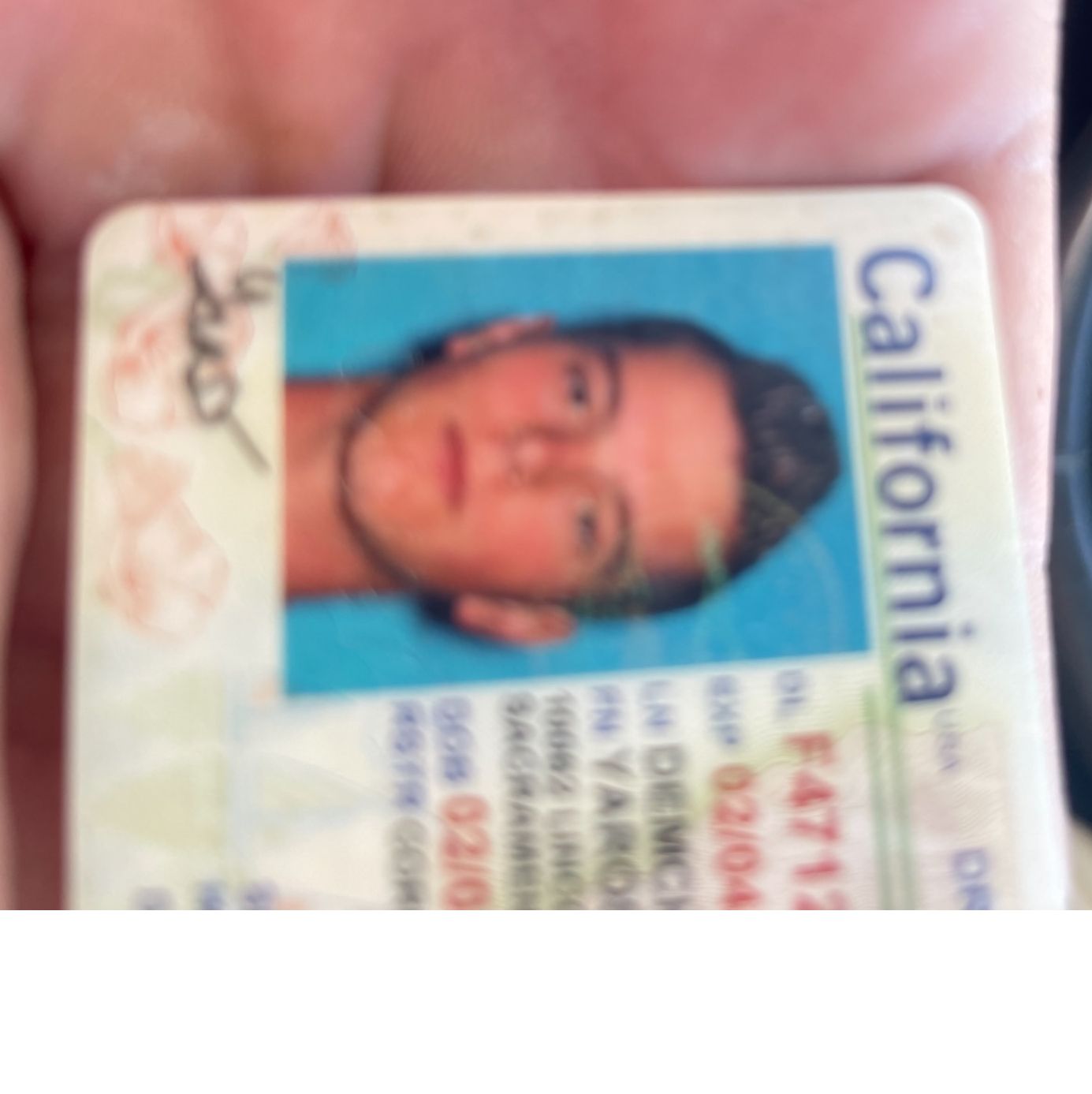 Profile of Yaro Demchik