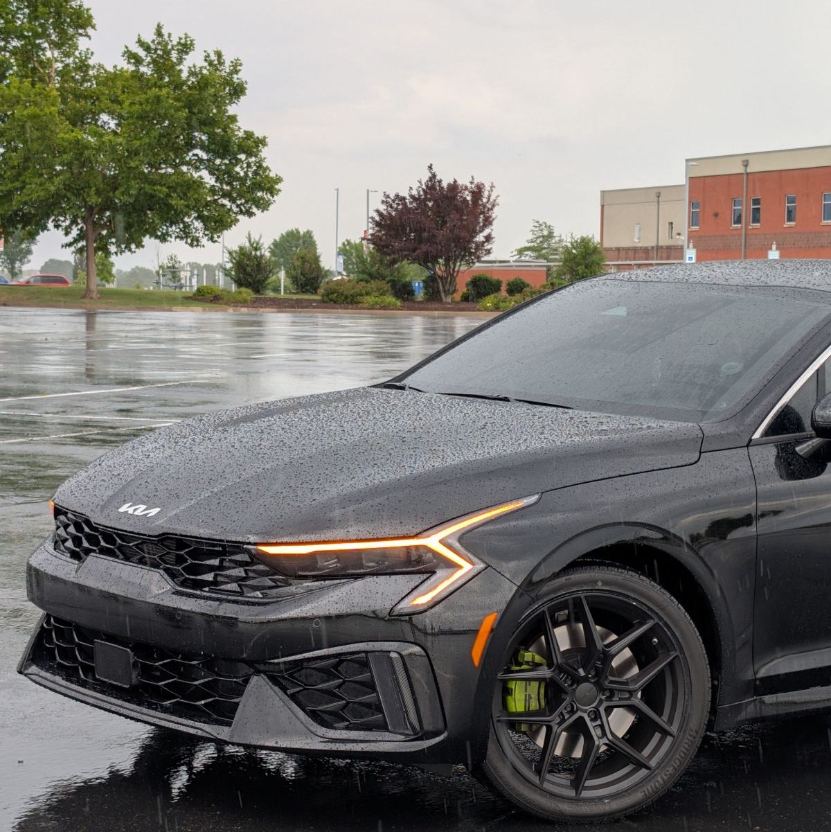 Profile of Zachary Rees