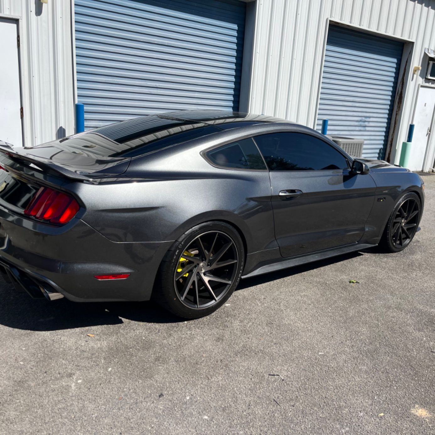 Profile of Marc Mercado