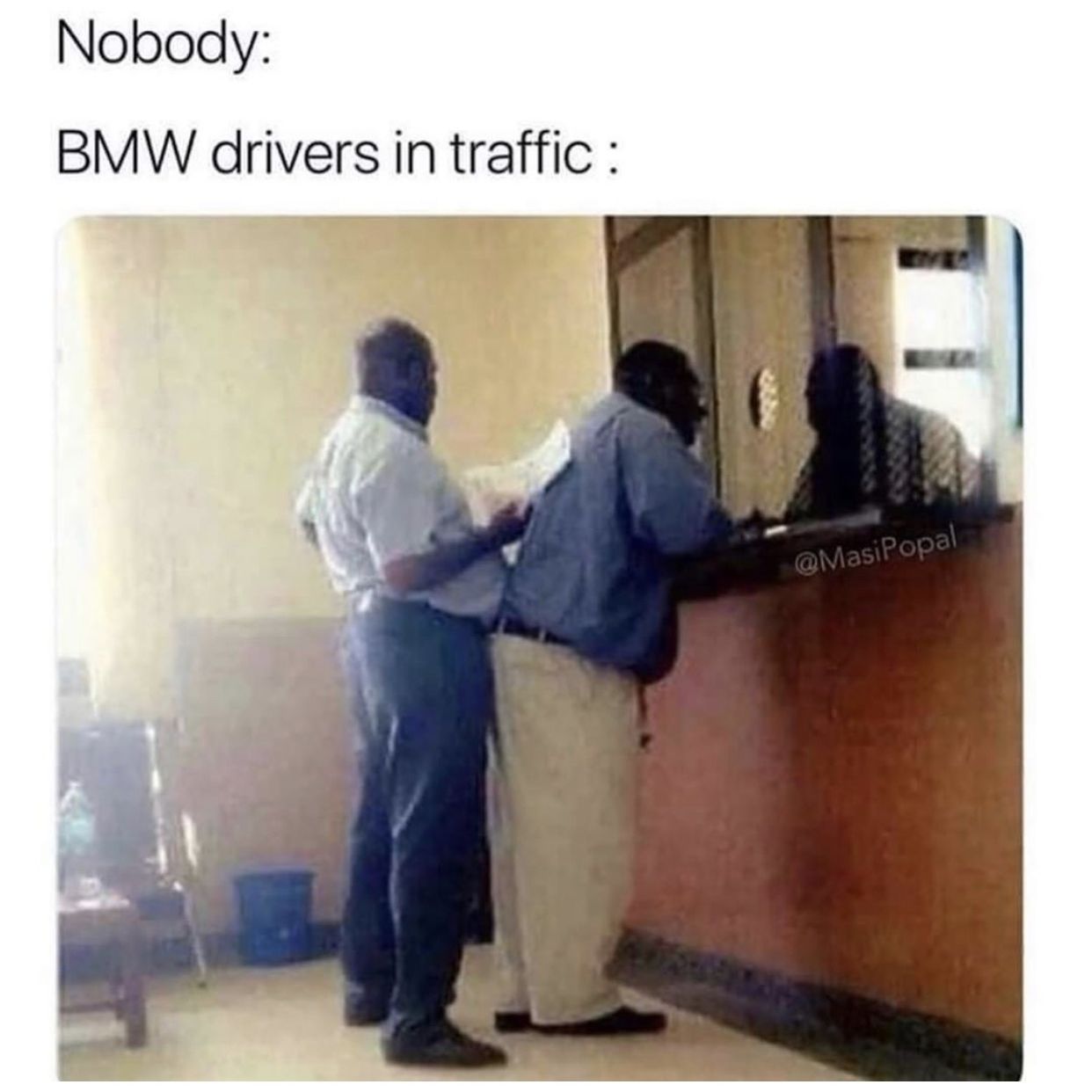 Profile of Stephen Wilson