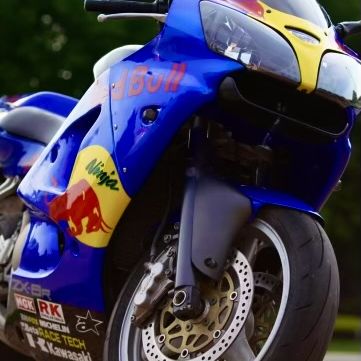 Profile of Dawson Handberg