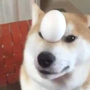 Profile of Dillon Rankin