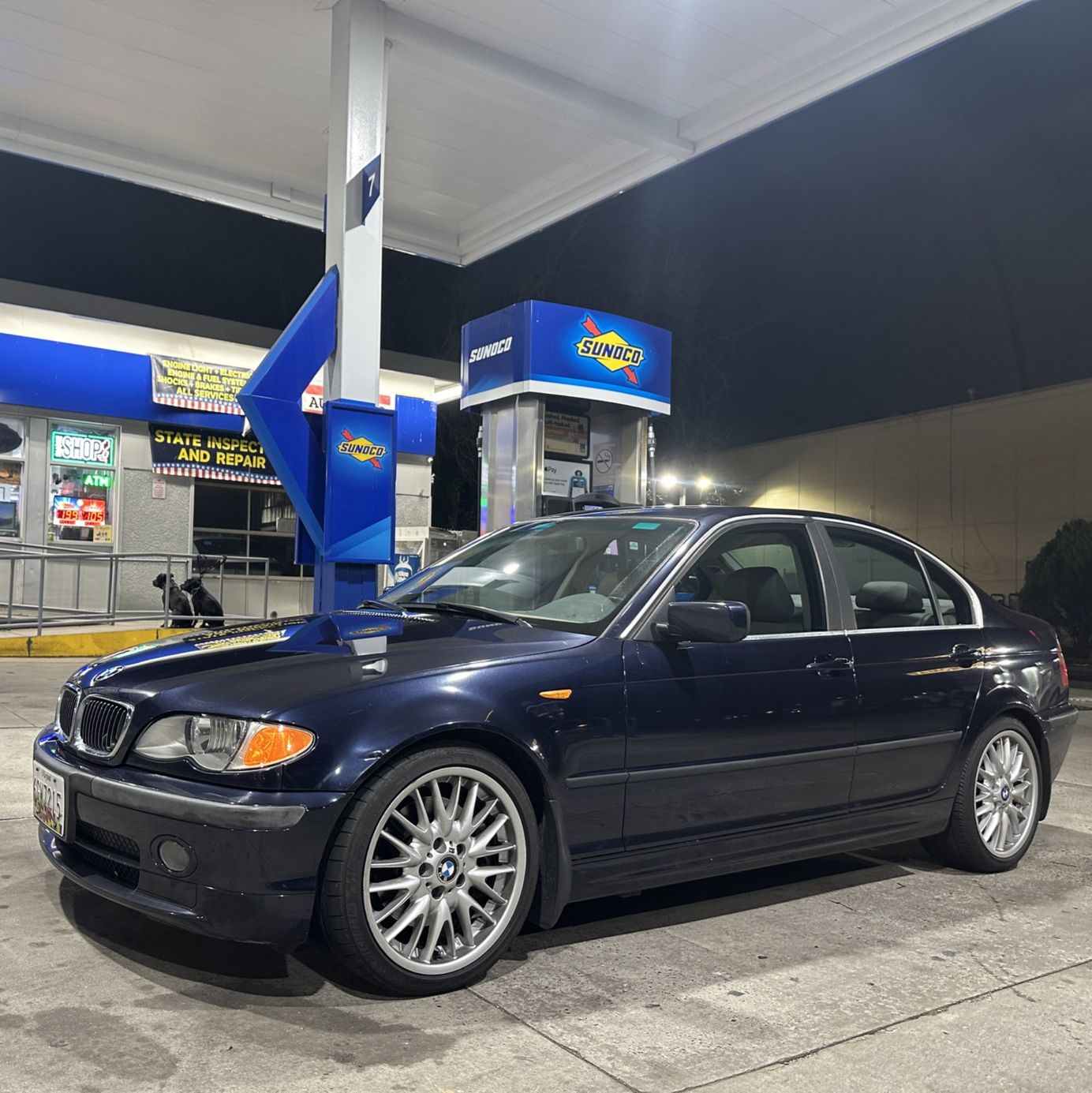 Profile of Brian Levin