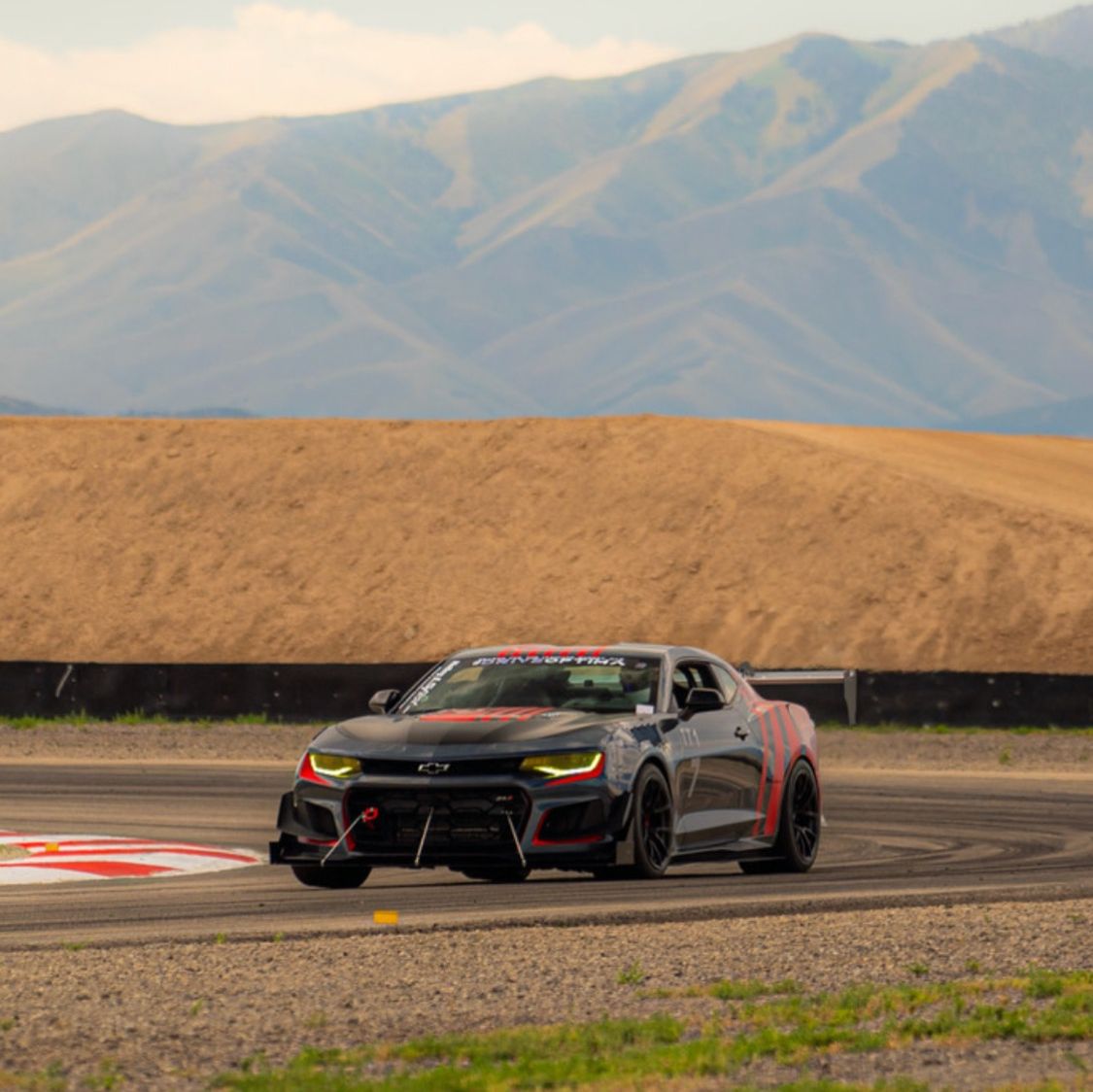 Profile of August Falkner