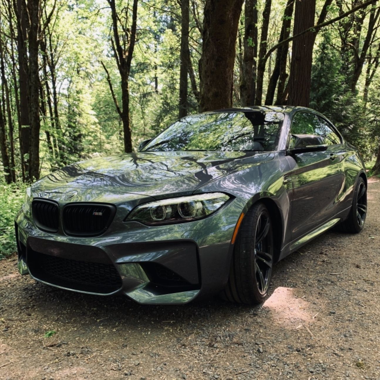 Profile of Seneca Lacombe