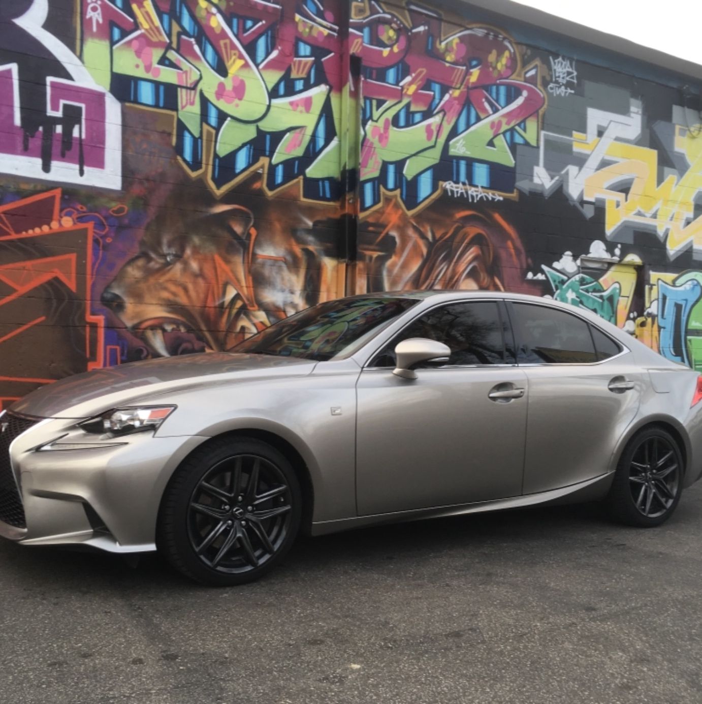 Profile of Scott Porterfield