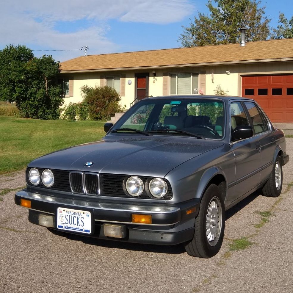 Profile of Robbie Lowry